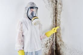 Why You Should Choose Our Mold Remediation Services in Ward, AR